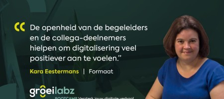 “Een digitaliseringsproject is als een kunstwerk”