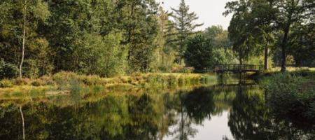 UAntwerpen stelt biodiversiteit centraal in nieuw onderzoeksplatform BIONEXT
