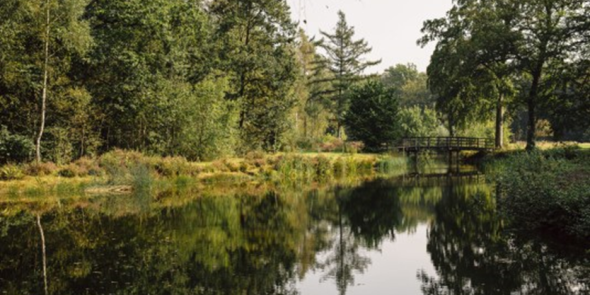 UAntwerpen stelt biodiversiteit centraal in nieuw onderzoeksplatform BIONEXT