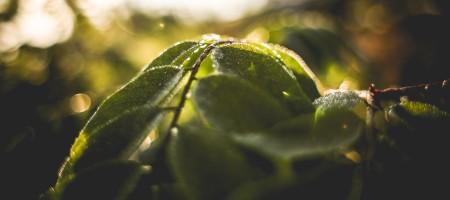 Europa wil 35 miljoen gebouwen renoveren tegen 2030